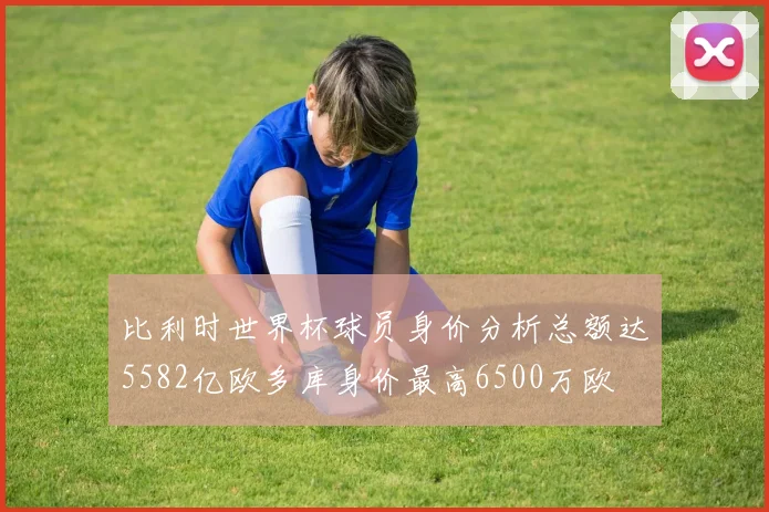 比利时世界杯球员身价分析总额达5582亿欧多库身价最高6500万欧